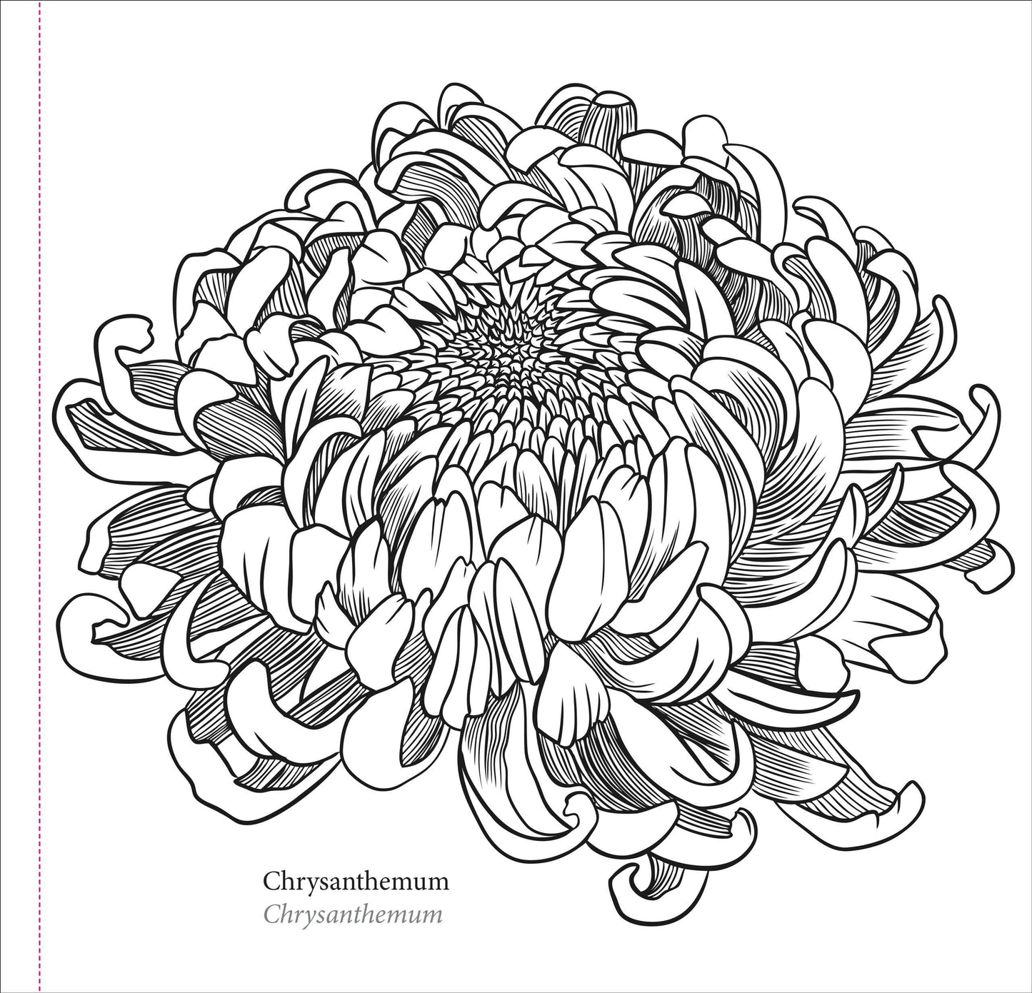 Spring Blooms Artist's Coloring Book