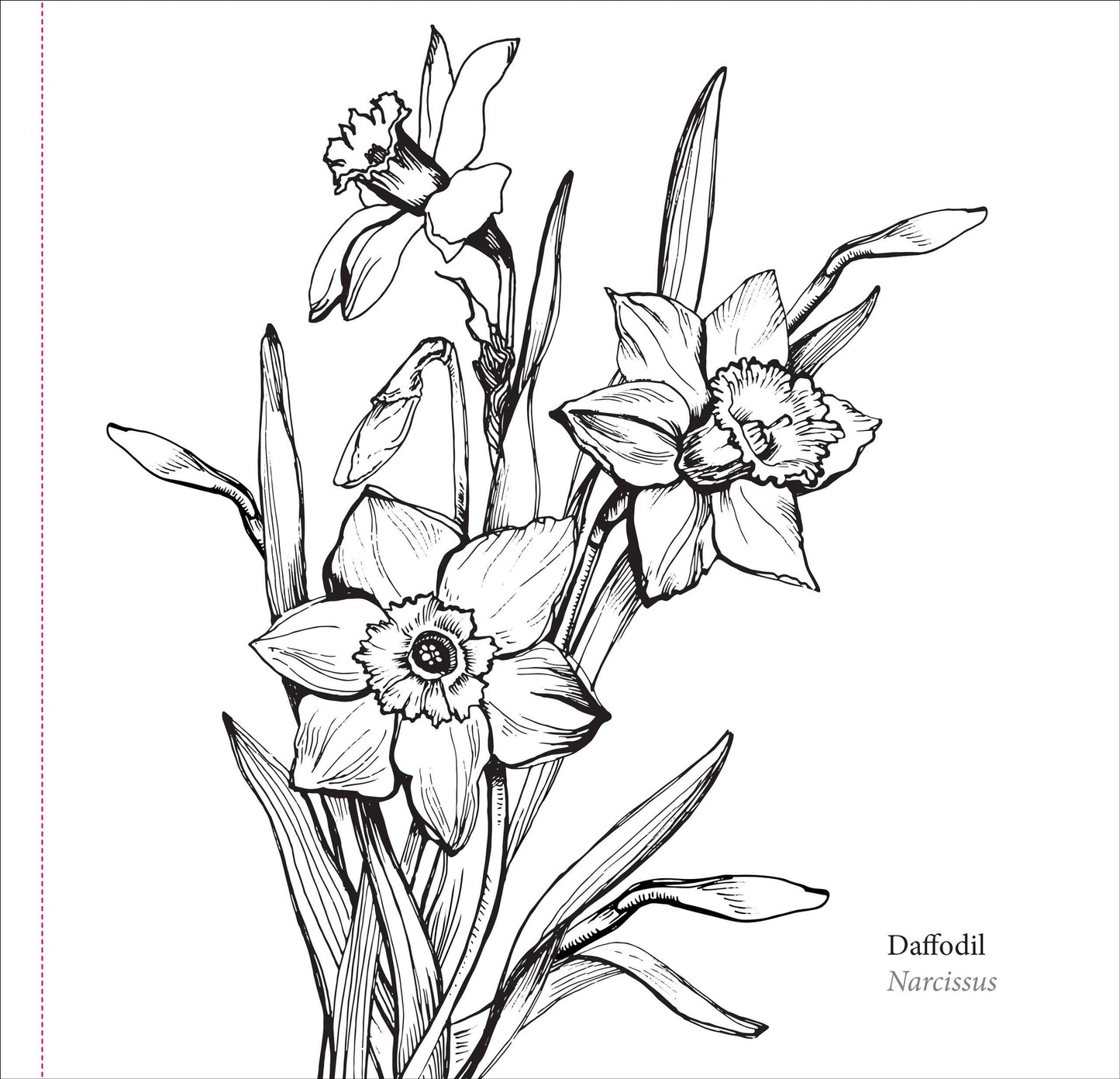 Spring Blooms Artist's Coloring Book